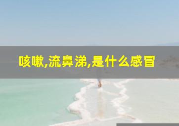 咳嗽,流鼻涕,是什么感冒