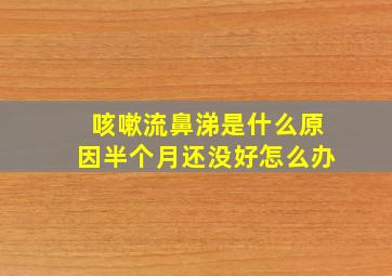 咳嗽流鼻涕是什么原因半个月还没好怎么办