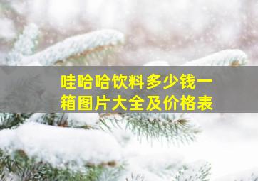 哇哈哈饮料多少钱一箱图片大全及价格表