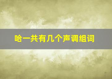 哈一共有几个声调组词