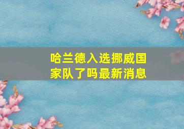 哈兰德入选挪威国家队了吗最新消息