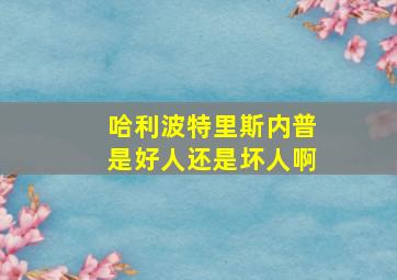 哈利波特里斯内普是好人还是坏人啊