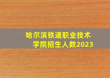 哈尔滨铁道职业技术学院招生人数2023