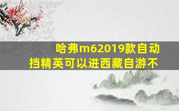 哈弗m62019款自动挡精英可以进西藏自游不