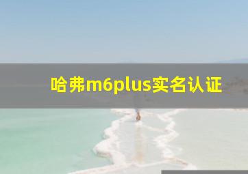 哈弗m6plus实名认证