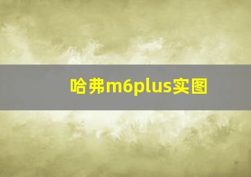 哈弗m6plus实图