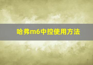 哈弗m6中控使用方法