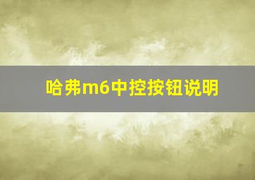 哈弗m6中控按钮说明