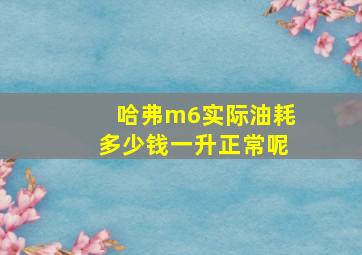 哈弗m6实际油耗多少钱一升正常呢