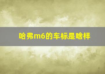 哈弗m6的车标是啥样