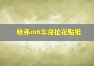 哈弗m6车身拉花贴纸