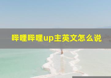 哔哩哔哩up主英文怎么说