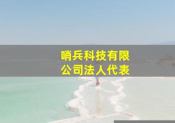 哨兵科技有限公司法人代表