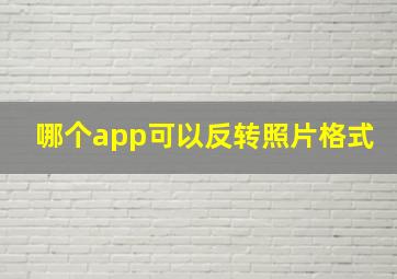 哪个app可以反转照片格式