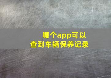 哪个app可以查到车辆保养记录