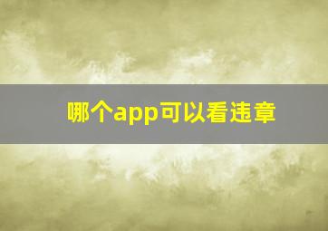 哪个app可以看违章