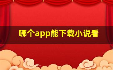 哪个app能下载小说看