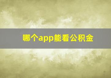 哪个app能看公积金