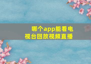 哪个app能看电视台回放视频直播