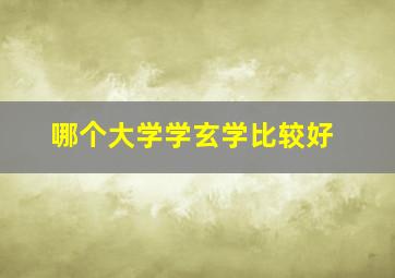 哪个大学学玄学比较好