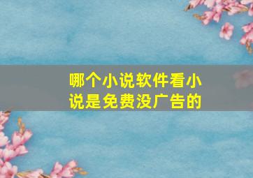 哪个小说软件看小说是免费没广告的