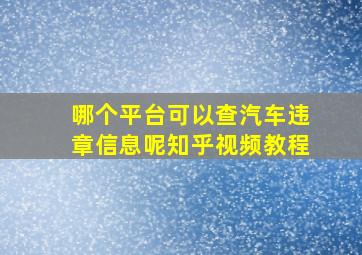 哪个平台可以查汽车违章信息呢知乎视频教程