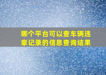 哪个平台可以查车辆违章记录的信息查询结果