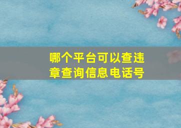 哪个平台可以查违章查询信息电话号