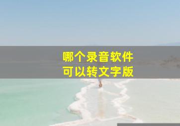 哪个录音软件可以转文字版