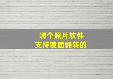 哪个照片软件支持镜面翻转的