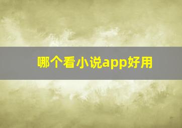 哪个看小说app好用