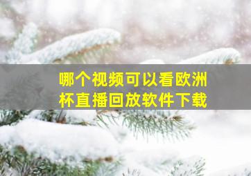 哪个视频可以看欧洲杯直播回放软件下载