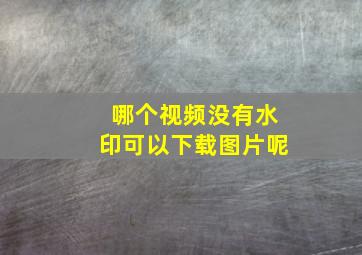 哪个视频没有水印可以下载图片呢