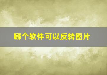 哪个软件可以反转图片