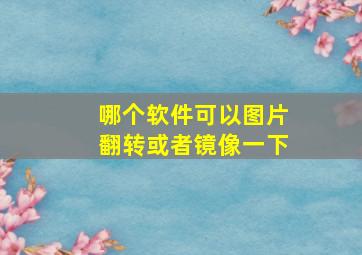 哪个软件可以图片翻转或者镜像一下