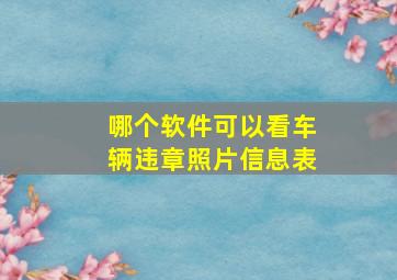 哪个软件可以看车辆违章照片信息表