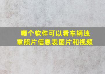 哪个软件可以看车辆违章照片信息表图片和视频