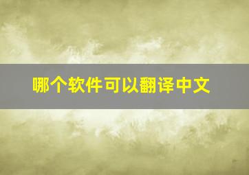 哪个软件可以翻译中文