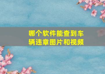 哪个软件能查到车辆违章图片和视频