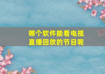 哪个软件能看电视直播回放的节目呢