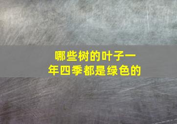 哪些树的叶子一年四季都是绿色的