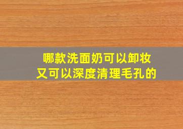 哪款洗面奶可以卸妆又可以深度清理毛孔的