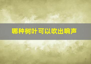 哪种树叶可以吹出响声