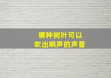 哪种树叶可以吹出响声的声音