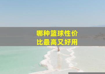 哪种篮球性价比最高又好用