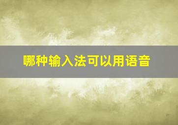 哪种输入法可以用语音