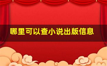 哪里可以查小说出版信息