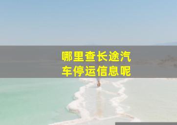 哪里查长途汽车停运信息呢