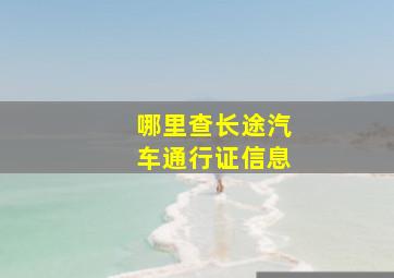 哪里查长途汽车通行证信息