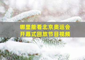 哪里能看北京奥运会开幕式回放节目视频